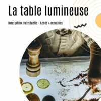 MODULE EN LIGNE - (Inscription individuelle - Accès 4 semaines)