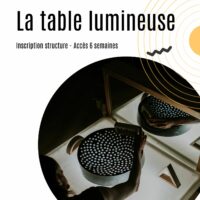MODULE EN LIGNE (Inscription structure - Accès 6 semaines)