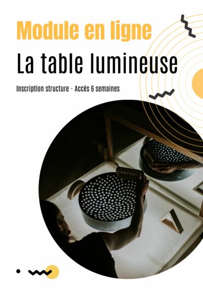 MODULE EN LIGNE (Inscription structure - Accès 6 semaines)