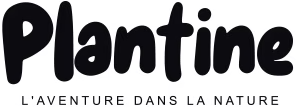 Plantine